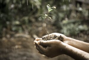 Identifying Growth Opportunity Support Systems