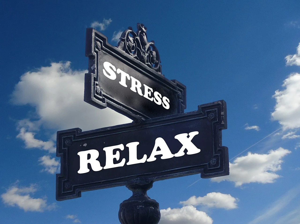 paths to reducing stress