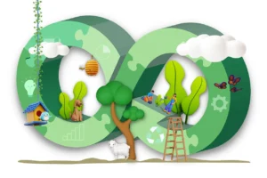 Sustainability and Long-Term Wellness