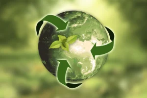 Sustainability and Long-Term Wellness