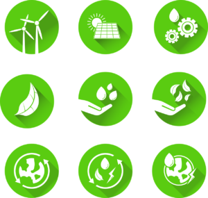 Sustainability and Long-Term Wellness