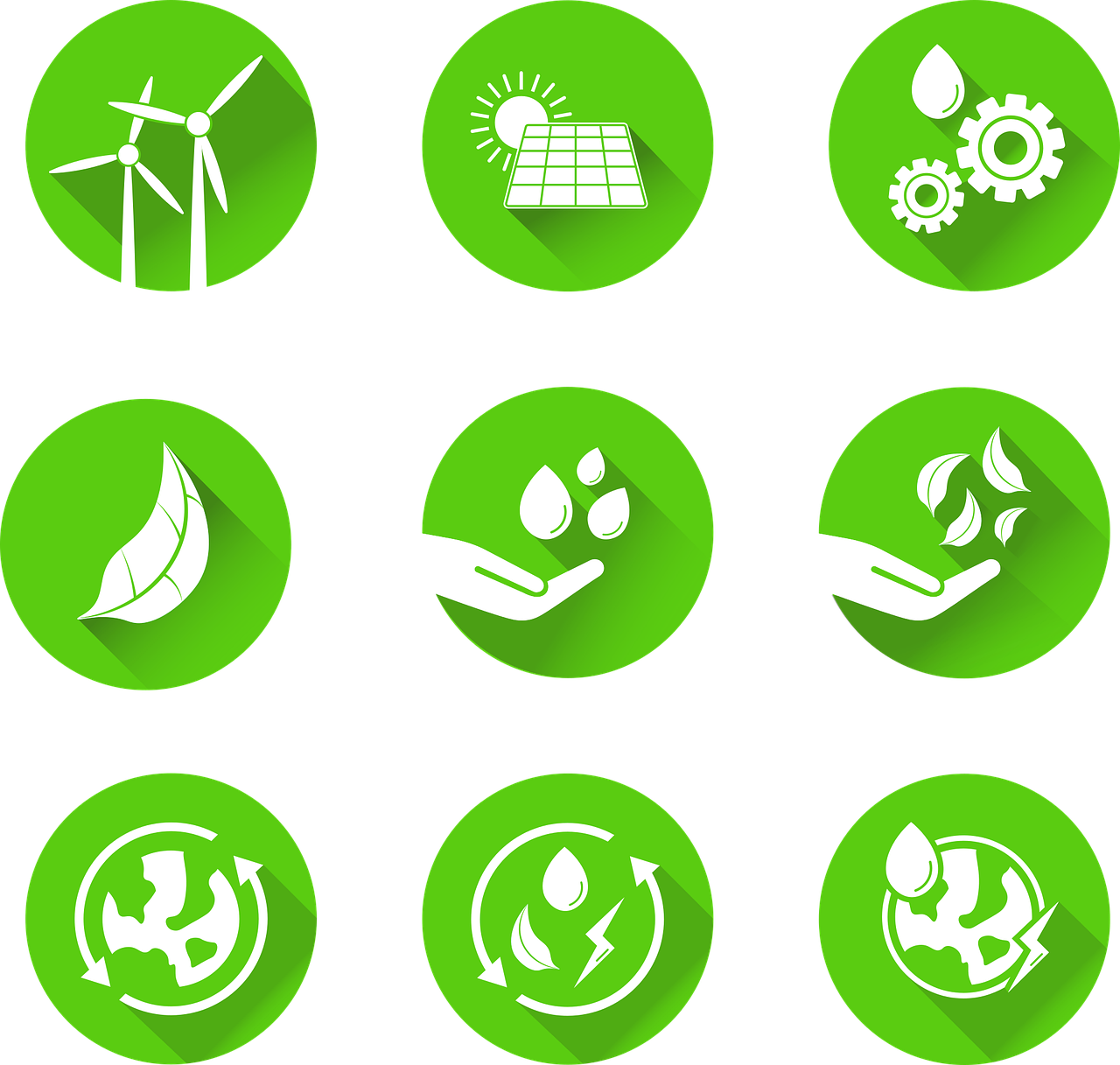 Sustainability and Long-Term Wellness